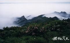 昆嵛山國家森林公園旅遊攻略之昆嵛雲海