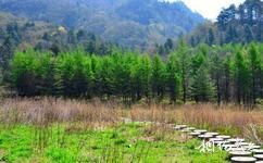 陝西木王國家森林公園旅遊攻略之四海坪景區