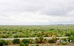 新疆古尔班通古特沙漠旅游攻略之退牧还草