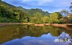西安朱雀國家森林公園旅遊攻略之靜心湖