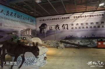 上海游龙石文化科普馆-科普馆照片