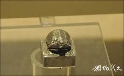 壽縣楚文化博物館旅遊攻略之龜鈕銀印