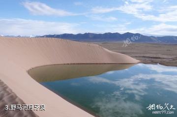 甘肃盐池湾国家级自然保护区-野马河月牙泉照片