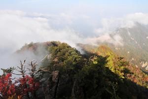 河南安陽三門峽靈寶焦村旅遊攻略-焦村鎮景點排行榜