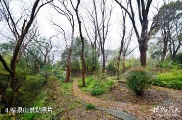 上海福泉山遺址-福泉山照片