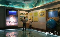 重庆中国三峡博物馆旅游攻略之造化三峡