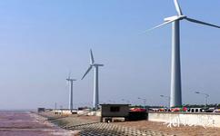 上海奉賢海灣旅遊攻略之電力風車