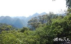 廣西木論國家級自然保護區旅遊攻略