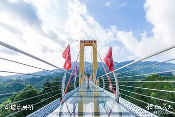 崇阳柃蜜小镇·白崖山景区-玻璃吊桥照片