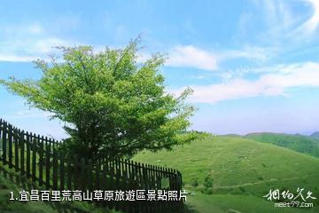 宜昌百里荒高山草原旅遊區照片
