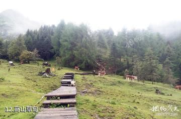 宝兴硗碛藏寨神木垒旅游景区-高山草甸照片