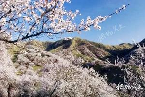 河北张家口万全旅游景点大全