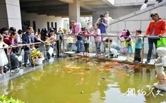 陝西自然博物館旅遊攻略之魚池景觀