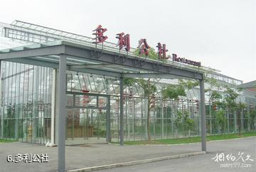 上海多利农庄生态园-多利公社照片