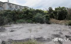 紐西蘭毛利文化村旅遊攻略之泥漿池
