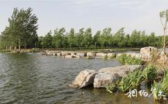 山西孝河國家濕地公園旅遊攻略之水蔥池