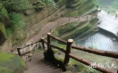 雅安碧峰峽旅遊攻略之滴水棧道