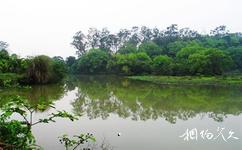 良鳳江國家森林公園旅遊攻略之湖泊濕地
