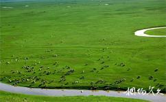 內蒙古達里諾爾自然保護區旅遊攻略之草原