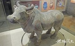 南陽賒店古城旅遊攻略之瓷器博物館