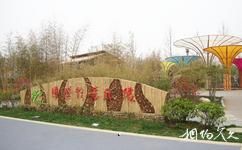 青島百果山世界園藝博覽會旅遊攻略之國際竹藤園