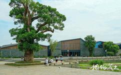 江西吉州窯遺址旅遊攻略之博物館