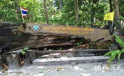 泰國斯米蘭群島旅遊攻略之國家公園