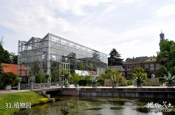 荷兰莱顿市-植物园照片