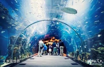 迪拜水族馆和水下动物园-水底世界照片