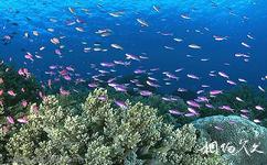 秦皇島新澳海底世界旅遊攻略之水族館