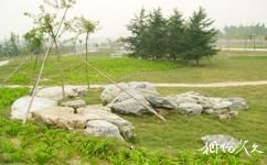 上海永清公园旅游攻略之缓坡草坪