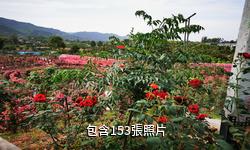 墊江牡丹生態旅遊區驢友相冊