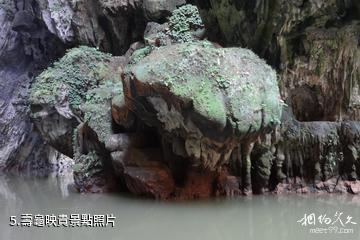 清遠洞天仙境生態旅遊度假區-壽龜映貴照片