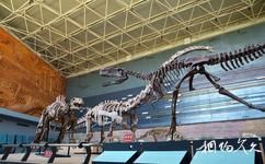 遼寧朝陽鳥化石國家地質公園旅遊攻略之恐龍廳