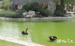 西安寒窑遗址公园旅游攻略之饮马池