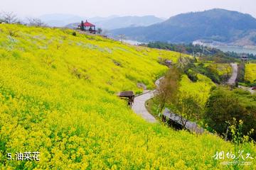 长兴城山沟-油菜花照片