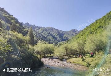 青海互助北山景區-扎龍溝照片