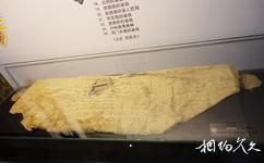 南京江寧織造博物館旅遊攻略之織金工藝