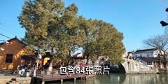 上海金澤古鎮驢友相冊