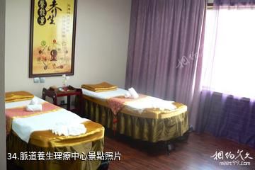 忻州市定襄鳳凰山景區-脈道養生理療中心照片
