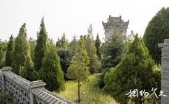 澄城良周秦汉宫旅游攻略之遗址