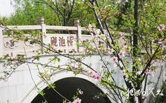 上海顾村公园旅游攻略之桥梁