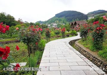 重慶黔江官村景區-阿蓬江花卉園照片