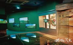 河南省地質博物館旅遊攻略之地質環境廳