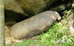 雷波馬湖旅遊攻略之母豬卧岩