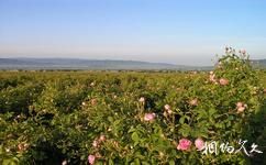 保加利亚玫瑰谷旅游攻略