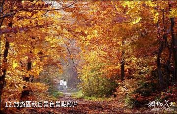 辰溪燕子洞旅遊區-旅遊區秋日景色照片