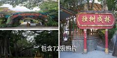 瑞麗獨樹成林風景區驢友相冊