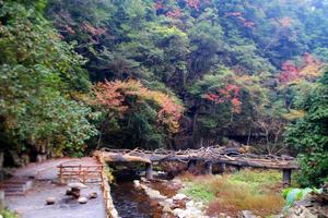 湖南邵陽綏寧黃桑坪旅遊攻略-黃桑坪苗族鄉景點排行榜