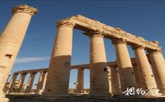 叙利亚帕尔米拉古城旅游攻略之圆柱